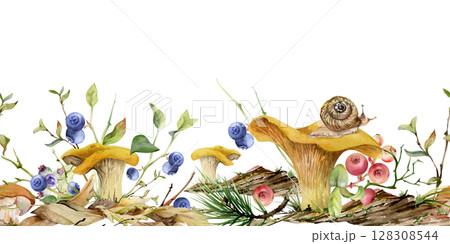 Golden chanterelle girolle mushroom snail, blackberry cranberry twigs, pine needles bark moss lichen growth. Fungus seamless banner header hand drawn in watercolor. Wild food, farmers market packaging 128308544