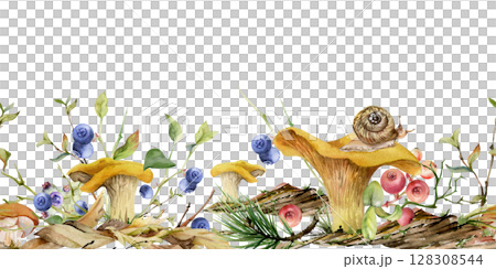 Golden chanterelle girolle mushroom snail, blackberry cranberry twigs, pine needles bark moss lichen growth. Fungus seamless banner header hand drawn in watercolor. Wild food, farmers market packaging 128308544