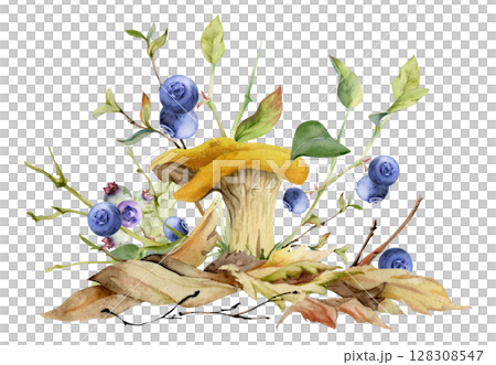 Golden chanterelle girolle mushroom, blueberry berries on top of fallen autumn leaves pile with twigs, branches. Fungi nature illustration hand drawn in watercolor. Forest floor habitat ecosystem. 128308547