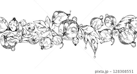 Currant gooseberry, leaves in water dew drops hand drawn in vector ink, scattered ripe garden berry. Seamless isolated banner garland. Home preserves, textile catalog, food store decor, recipe book 128308551