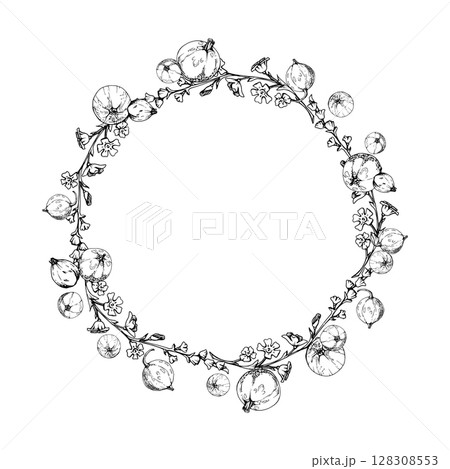 Currant gooseberry berries, long flower clusters hand drawn in vector ink, ripe garden berry juneberry casseille jostaberry. Isolated wreath frame crown. Florist shop, eco herbal cosmetics, grocery 128308553