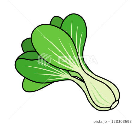 チンゲン菜のアイコン 128308698