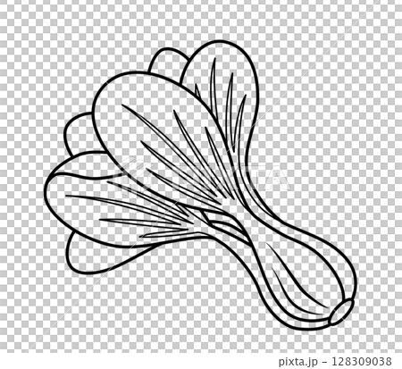 チンゲン菜のアイコン 128309038