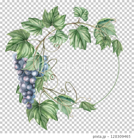 Wreath with curved vine and bunch of grapes. Isolated watercolor illustration for wine labels, bar and restaurant signs, menus, postcards and posters. Wreath with curved vine and bunch of grapes. Isolated watercolor illustration for wine labels, bar and restaurant signs, menus, postcards and posters. 128309465