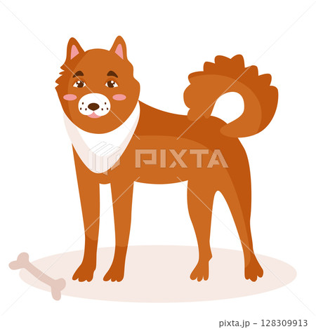 A dog of the Laika breed, red in color. Next to it is a delicacy, a bone. Vector illustration isolated. A dog of the Laika breed, red in color. Next to it is a delicacy, a bone. Vector illustration isolated. 128309913