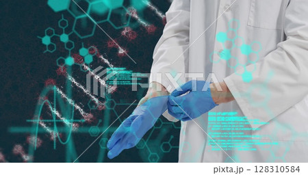 Image of dna strand and medical data processing over male doctor putting gloves on Image of dna strand and medical data processing over male doctor putting gloves on 128310584