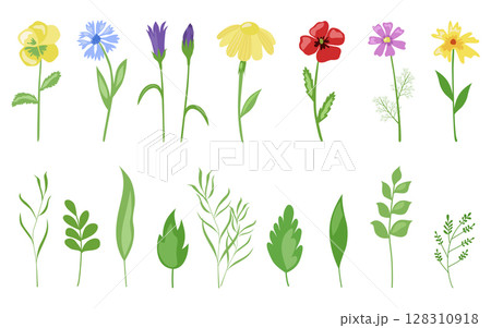 Flowers of the field, a beautiful collection of plants and leaves. Vector. In the style of hand drawing. Flowers of the field, a beautiful collection of plants and leaves. Vector. In the style of hand drawing. 128310918
