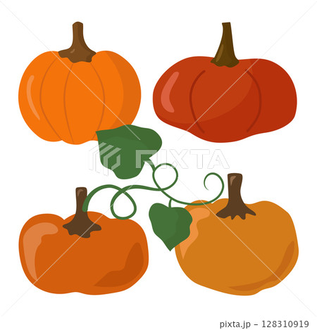 Pumpkins of various types, a set of four. Vector illustration isolated. 128310919