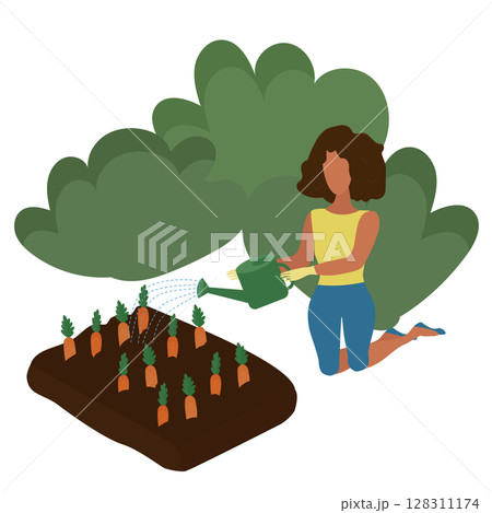 The girl is working in the garden, watering carrots. 128311174