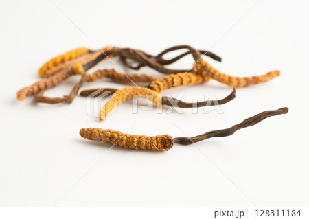 Cordyceps or Ophiocordyceps sinensis mushroom herb is fungus for used as medicine on white background. 128311184