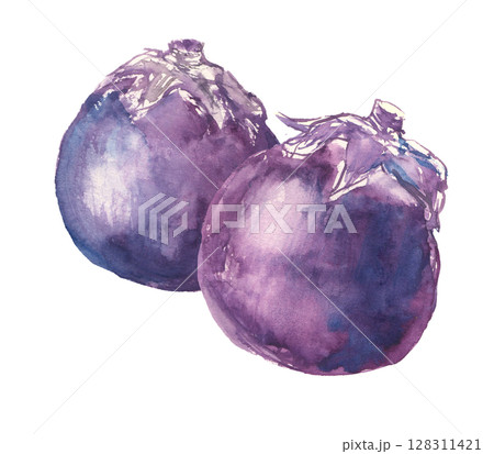 賀茂ナスの水彩イラスト 128311421