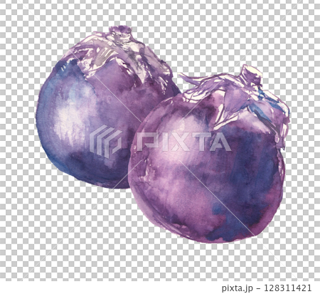 賀茂ナスの水彩イラスト 128311421