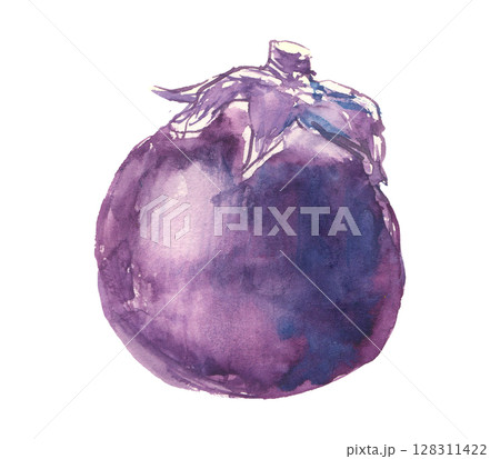 賀茂ナスの水彩イラスト 賀茂ナスの水彩イラスト 128311422