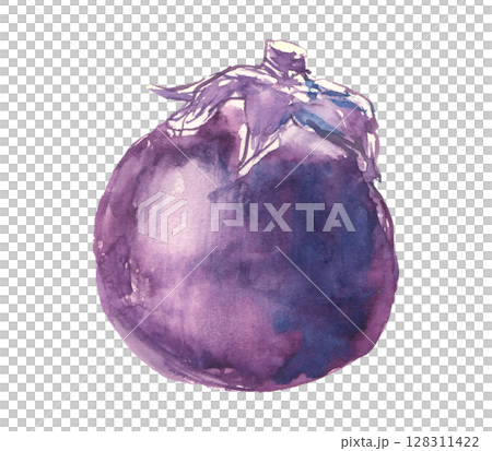 賀茂ナスの水彩イラスト 賀茂ナスの水彩イラスト 128311422
