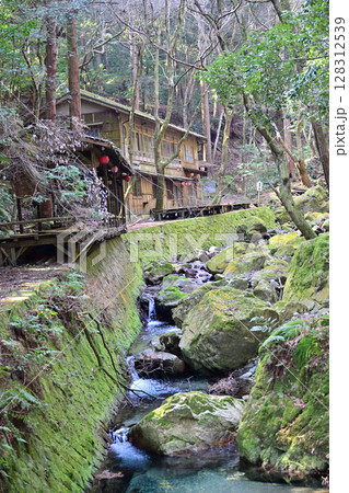滋賀県 日吉大社 全国約3,800社の日吉・日枝・山王神社の総本宮 滋賀県 日吉大社 全国約3,800社の日吉・日枝・山王神社の総本宮 128312539