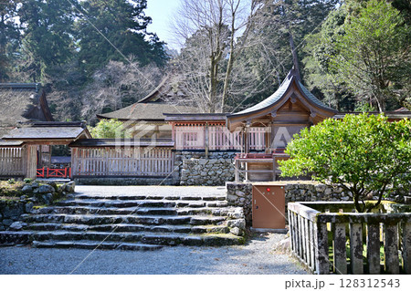 滋賀県　日吉大社　全国約3,800社の日吉・日枝・山王神社の総本宮 128312543