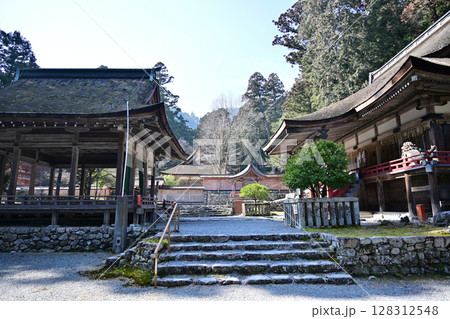 滋賀県　日吉大社　全国約3,800社の日吉・日枝・山王神社の総本宮 128312548