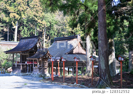 滋賀県　日吉大社　全国約3,800社の日吉・日枝・山王神社の総本宮 128312552