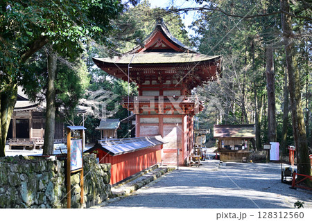 滋賀県　日吉大社　全国約3,800社の日吉・日枝・山王神社の総本宮 128312560