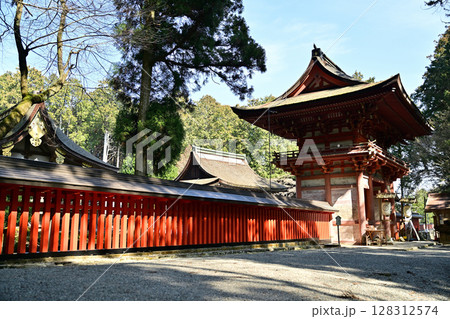滋賀県　日吉大社　全国約3,800社の日吉・日枝・山王神社の総本宮 128312574