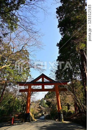 滋賀県　日吉大社　全国約3,800社の日吉・日枝・山王神社の総本宮 128312585