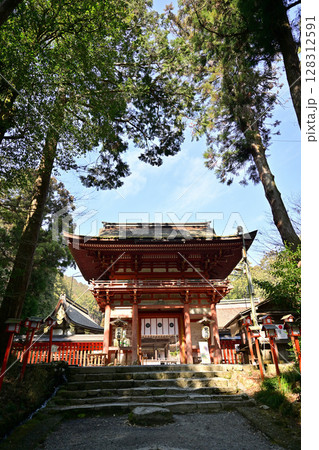 滋賀県　日吉大社　全国約3,800社の日吉・日枝・山王神社の総本宮 128312591
