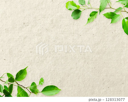 生成りの木綿生地の上に緑の葉が飾られた背景画像6 生成りの木綿生地の上に緑の葉が飾られた背景画像6 128313077