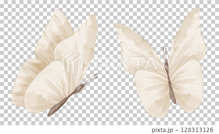 Watercolor illustration of Butterflies with delicate wings and soft details. Drawing of delicate Insects for wedding invitations or Baby party greeting cards. Art in soft pastel beige colors. Watercolor illustration of Butterflies with delicate wings and soft details. Drawing of delicate Insects for wedding invitations or Baby party greeting cards. Art in soft pastel beige colors. 128313126