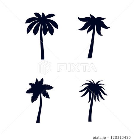 Tropical Palm Trees 128313450