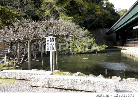 出雲大社 神楽殿脇 鏡の池の鶴と亀 128313573