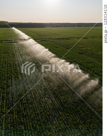 Aerial view of agricultural watering pivot irrigation system on a corn field at sunset 128314110
