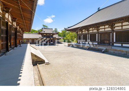 【奈良県】奈良市 唐招提寺 (2025/07/10撮影) 128314801
