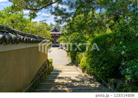【奈良県】奈良市 唐招提寺 (2025/07/10撮影) 128314806