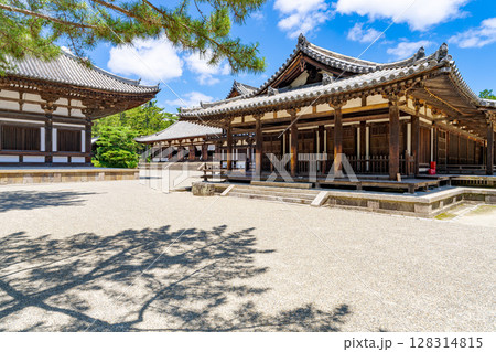 【奈良県】奈良市 唐招提寺 (2025/07/10撮影) 128314815