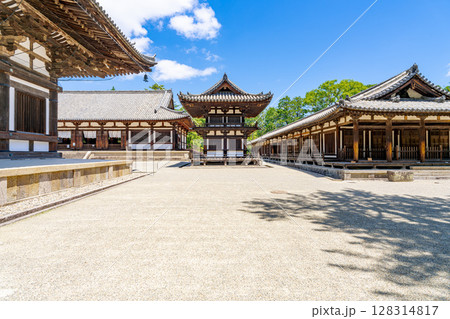 【奈良県】奈良市 唐招提寺 (2025/07/10撮影) 128314817