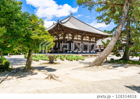 【奈良県】奈良市 唐招提寺 (2025/07/10撮影) 【奈良県】奈良市 唐招提寺 (2025/07/10撮影) 128314818