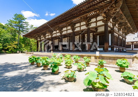 【奈良県】奈良市 唐招提寺 (2025/07/10撮影) 128314821