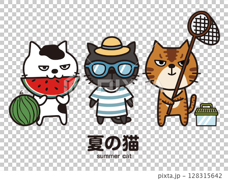 Summer cat 128315642