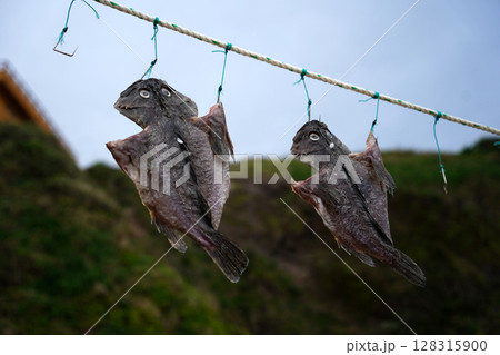 Dried Fish Hanging on Rope by the Sea in Korean Coastal Village Dried Fish Hanging on Rope by the Sea in Korean Coastal Village 128315900