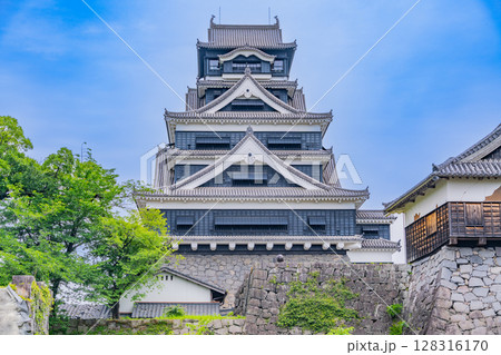 （熊本県）晴天下の熊本城 128316170