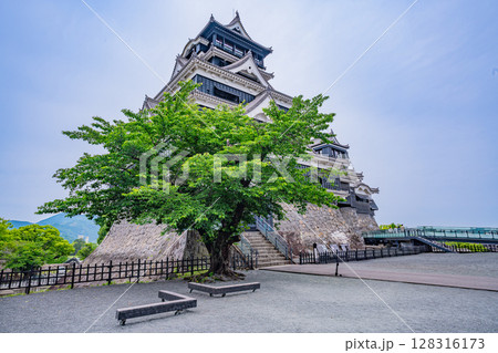 （熊本県）晴天下の熊本城 128316173
