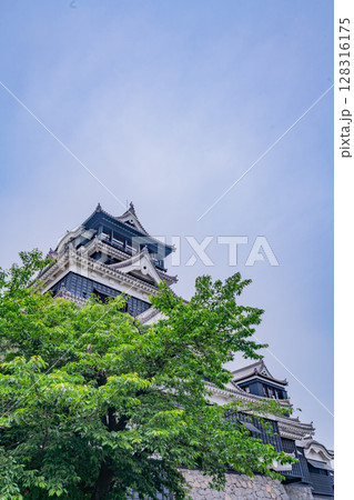 (熊本県)晴天下の熊本城 (熊本県)晴天下の熊本城 128316175
