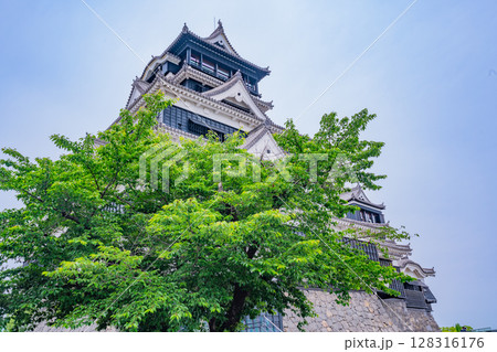 （熊本県）晴天下の熊本城 128316176