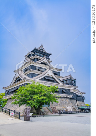 (熊本県)晴天下の熊本城 (熊本県)晴天下の熊本城 128316178