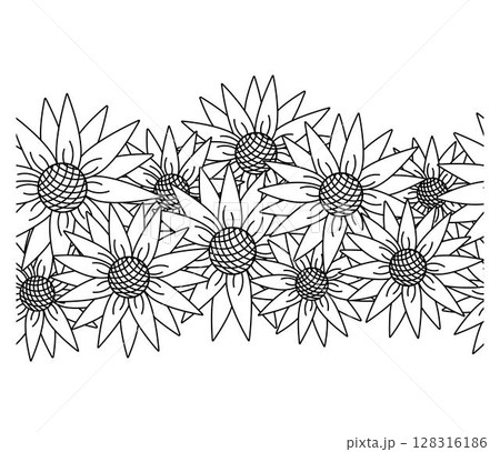Sunflower horizontal seamless border. Vector graphic line illustration. wreath arrangement design. Perfect for cards, decorations, stickers, logo, menu, various designs. Sunflower horizontal seamless border. Vector graphic line illustration. wreath arrangement design. Perfect for cards, decorations, stickers, logo, menu, various designs. 128316186