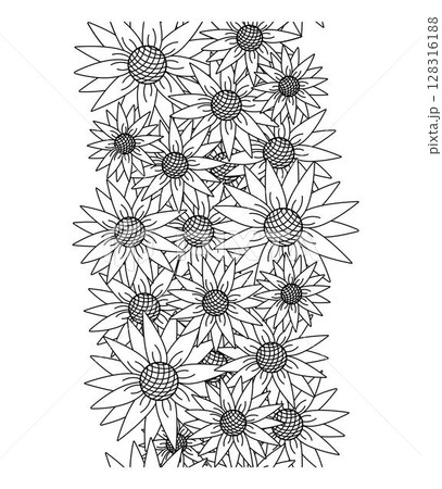 Sunflower Vertical seamless border. Vector graphic line illustration. wreath arrangement design. Perfect for cards, decorations, stickers, logo, menu, various designs. 128316188