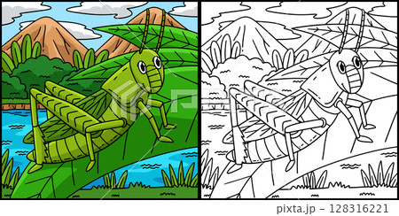 Insect Grasshopper Animal Colored Illustration  128316221