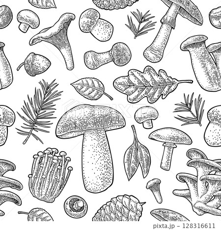 Seamless pattern mushroom. Vintage vector engraving black illustration 128316611