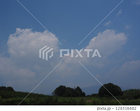 わた雲 128316882