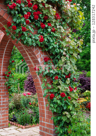 ローズガーデンのレンガの壁で咲く美しい赤いバラの花 ローズガーデンのレンガの壁で咲く美しい赤いバラの花 128317242